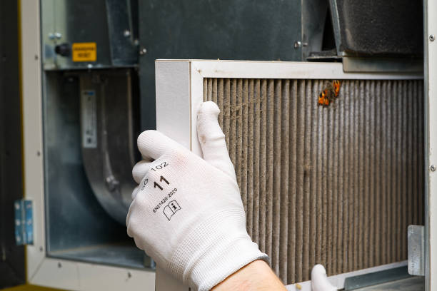 Best Air Vent Cleaning Services  in Healdton, OK